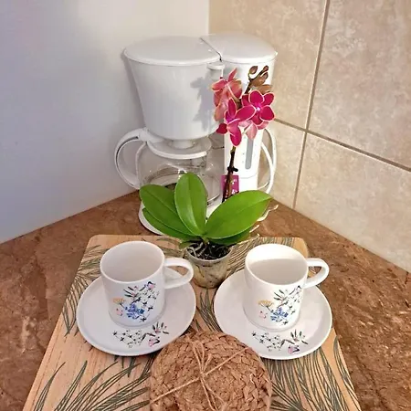 Taboo Duplex Eforie Nord